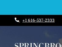 Website Screenshot Springbrook Flats Apartments