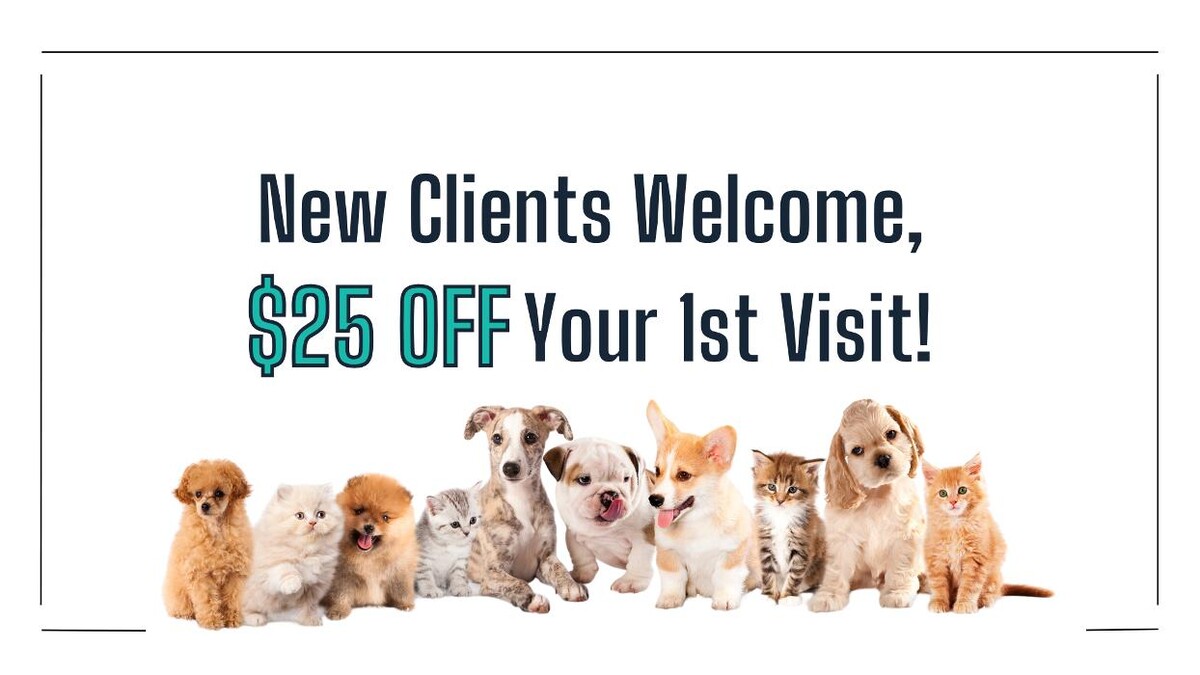 Images Tequesta Veterinary Clinic
