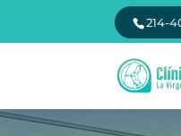 Website Screenshot Clinica Familiar la Virgen de Guadalupe MacArthur