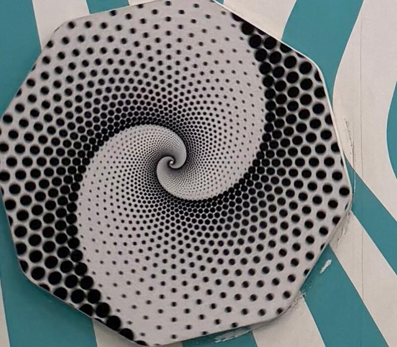 Images Museum of Illusions - Charlotte