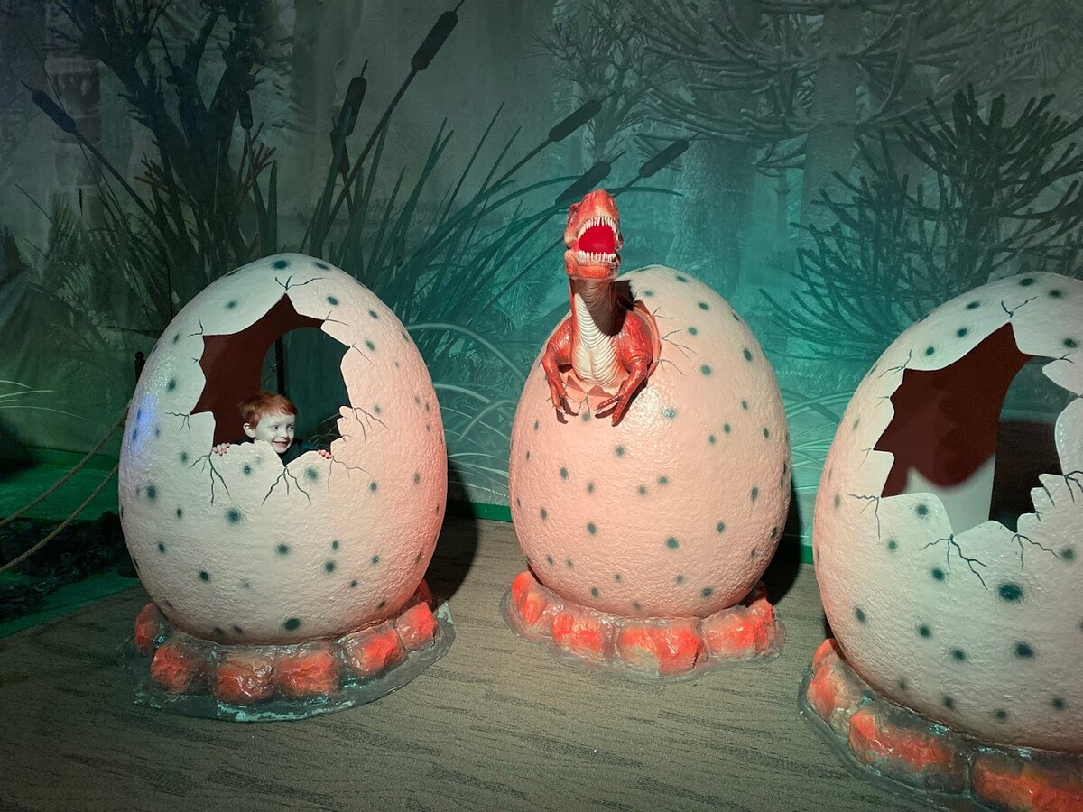 Images Jurassic Gardens