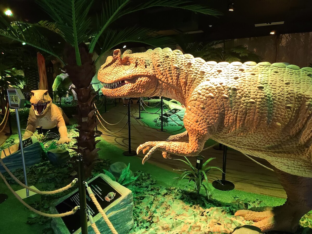 Images Jurassic Gardens