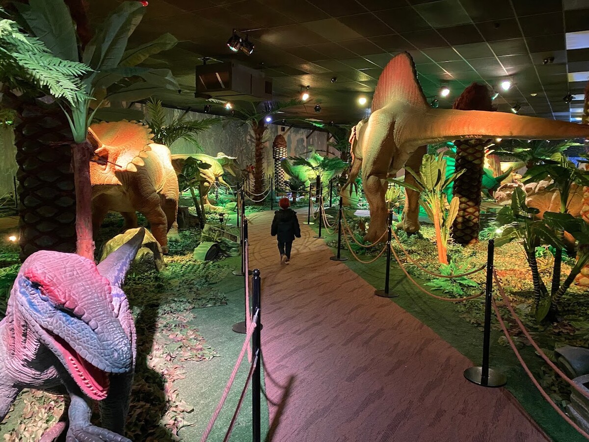 Images Jurassic Gardens