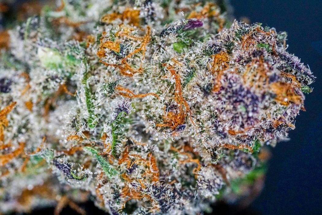 Images Del Mundo Weed Dispensary