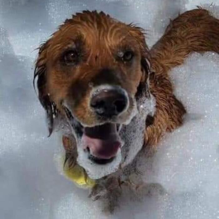 Images Bubbles Foam Parties, Face Painting, Balloon Twisting & More