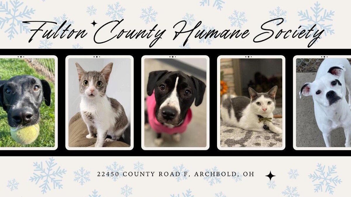 Images Fulton County Humane Society