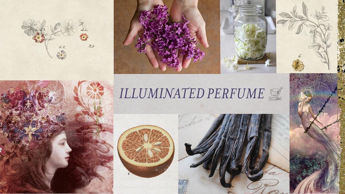 Images Illuminated Perfume