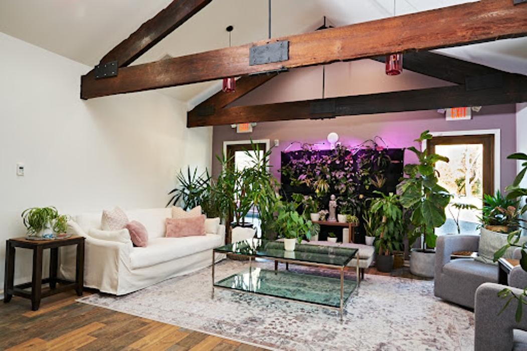 Images Quantum Wellness