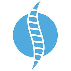 APEX Spine and Neurosurgery Logo