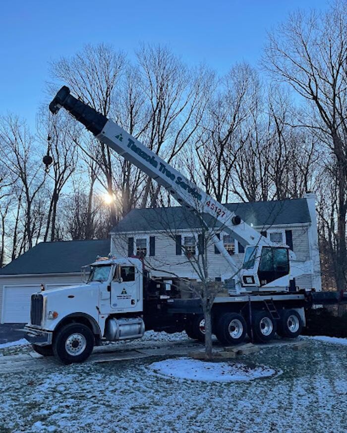 Images Tanzola Tree Service