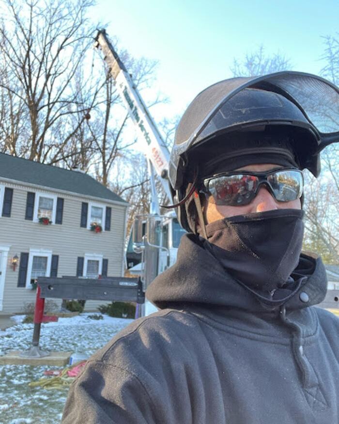 Images Tanzola Tree Service