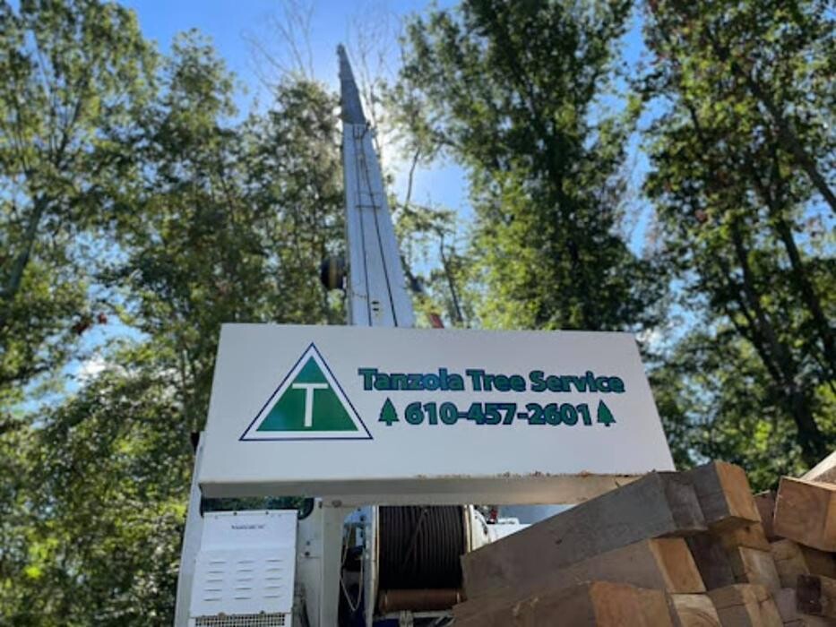 Images Tanzola Tree Service