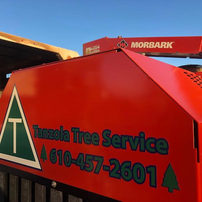 Images Tanzola Tree Service
