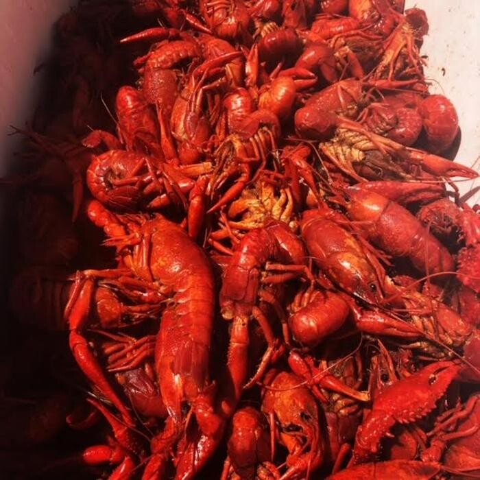Images Heads or Tails Cajun Crawfish