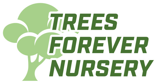Trees Forever Nursery Logo