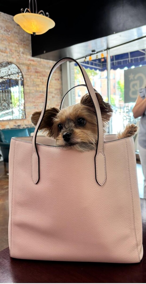 Images Coldwell Banker Deborah Gandy