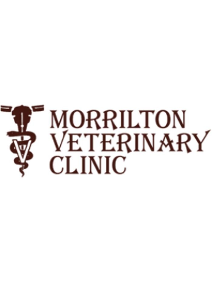 Images Morrilton Veterinary Clinic