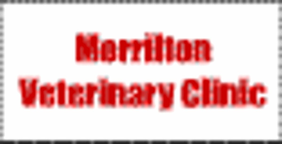 Images Morrilton Veterinary Clinic