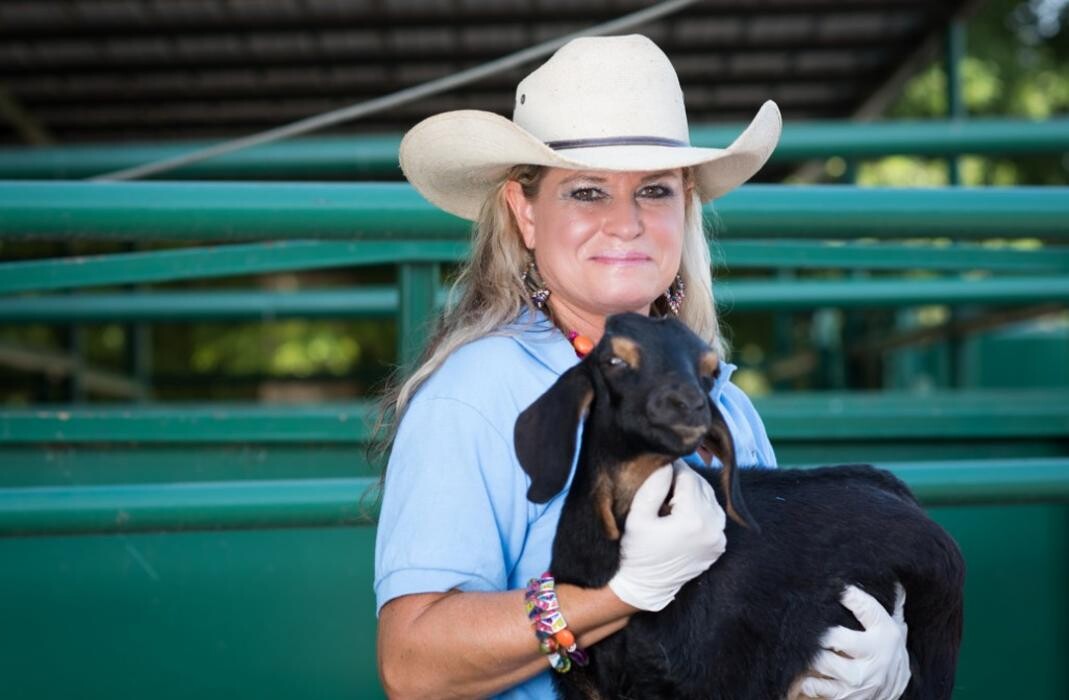 Images Morrilton Veterinary Clinic