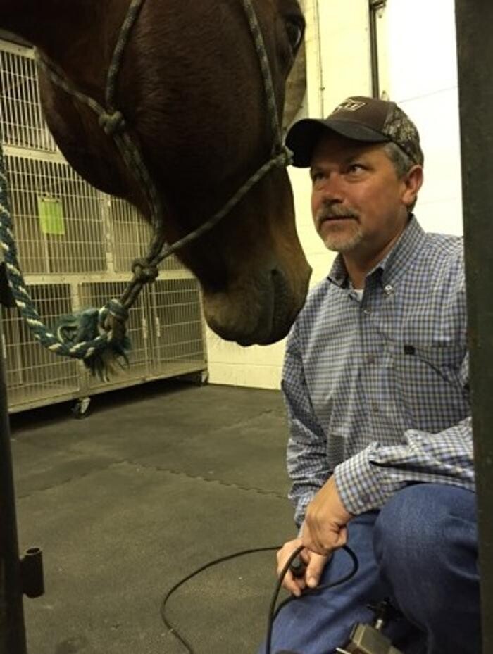 Images Morrilton Veterinary Clinic