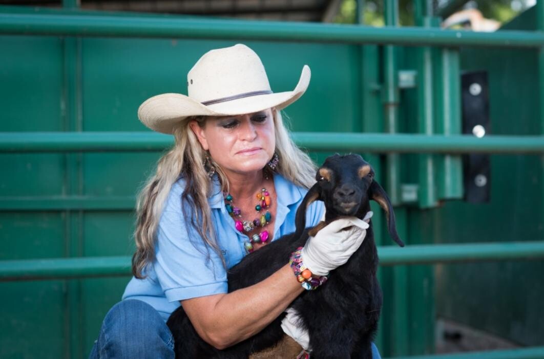 Images Morrilton Veterinary Clinic