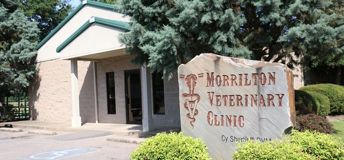 Images Morrilton Veterinary Clinic