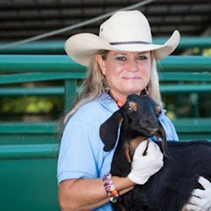 Images Morrilton Veterinary Clinic