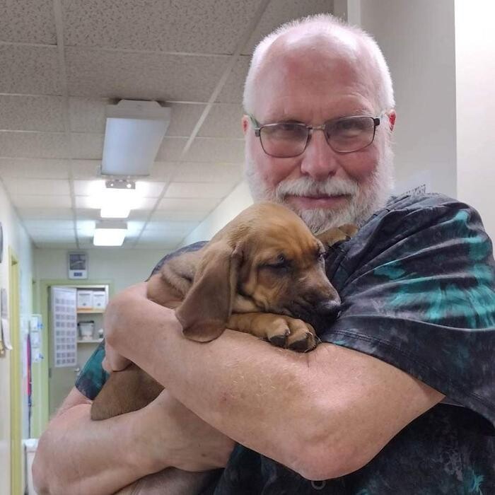 Images Community Animal Hospital