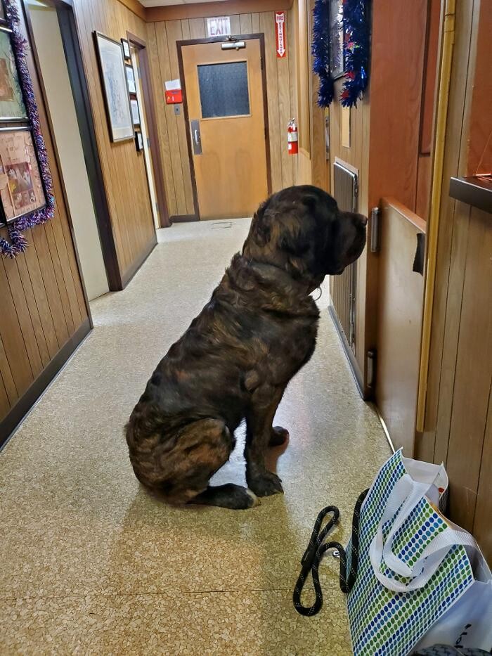Images Community Animal Hospital