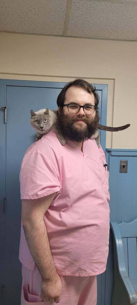 Images Community Animal Hospital