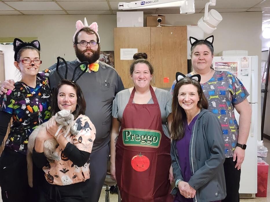 Images Community Animal Hospital
