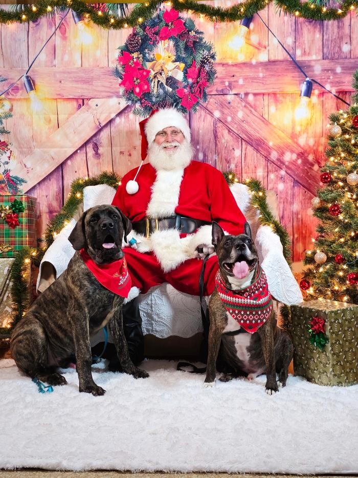 Images Community Animal Hospital