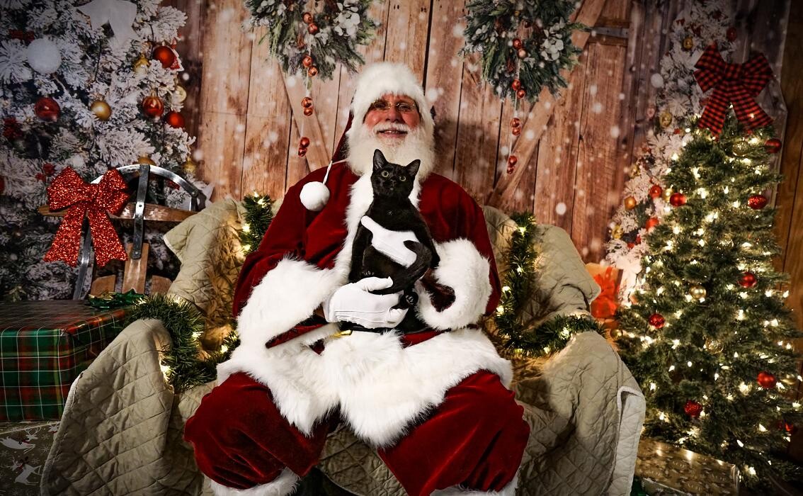 Images Community Animal Hospital