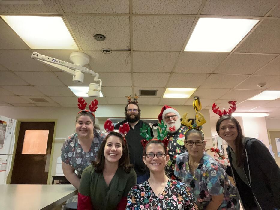 Images Community Animal Hospital