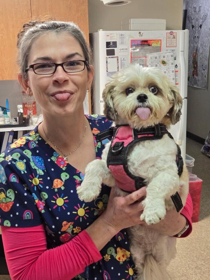Images Community Animal Hospital