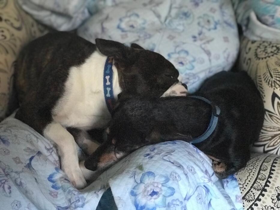 Images The Bradshaw Group Realtors