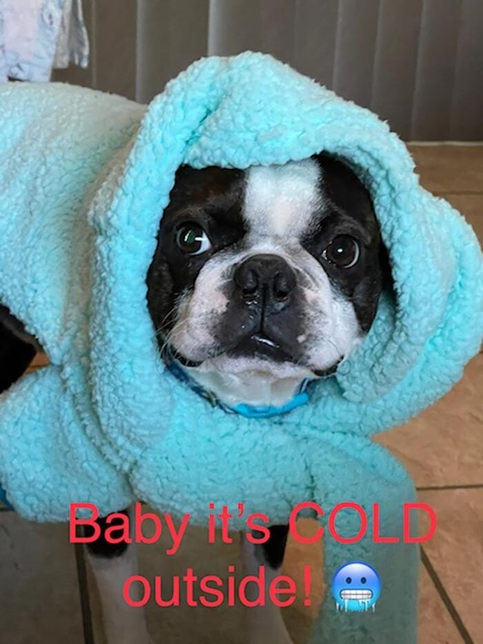 Images The Bradshaw Group Realtors