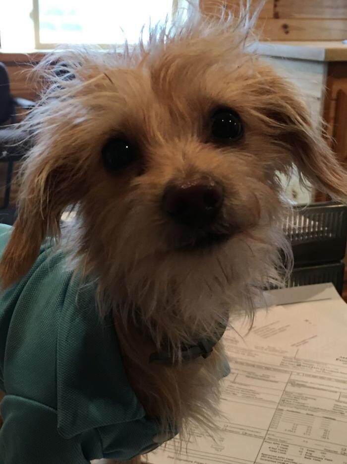 Images Copeland Insurance Agency, Inc.