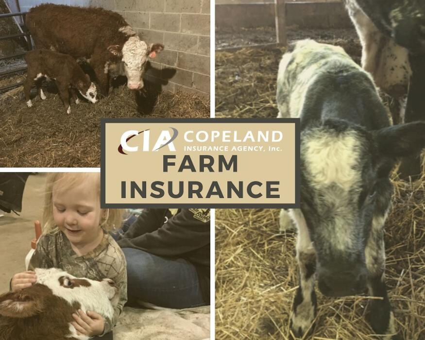 Images Copeland Insurance Agency, Inc.