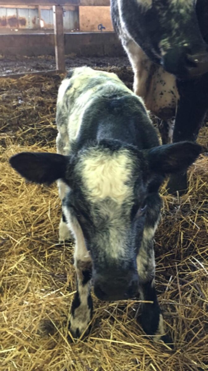 Images Copeland Insurance Agency, Inc.