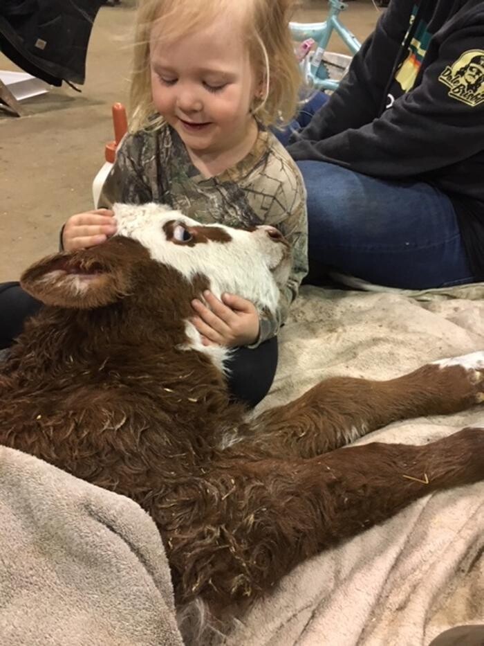 Images Copeland Insurance Agency, Inc.