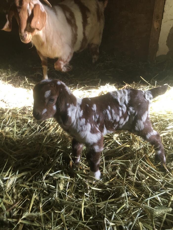 Images Copeland Insurance Agency, Inc.