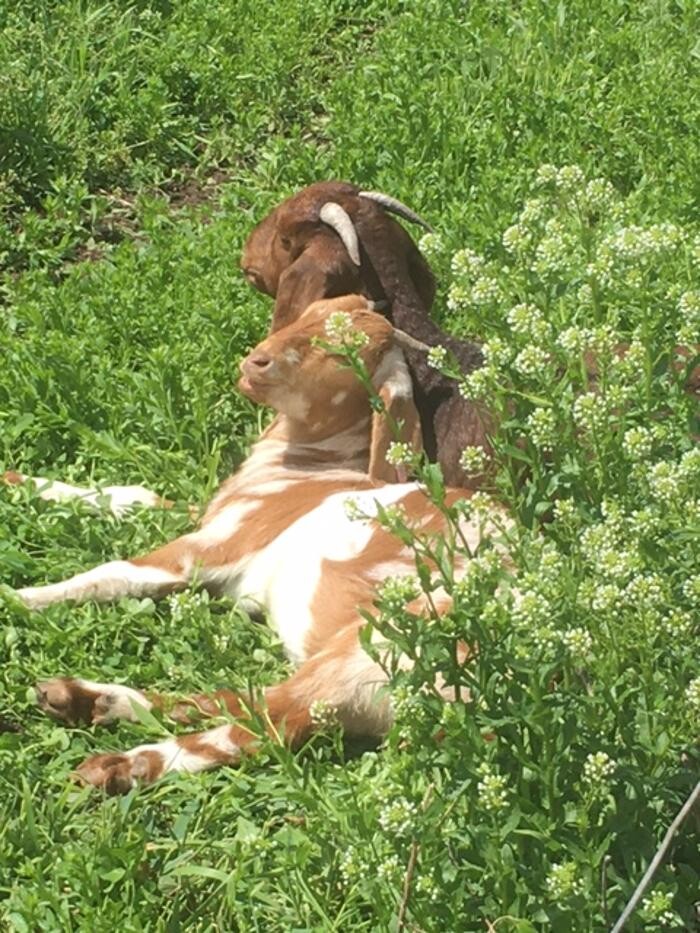 Images Copeland Insurance Agency, Inc.