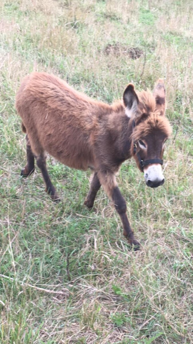 Images Copeland Insurance Agency, Inc.