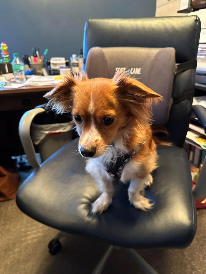 Images Copeland Insurance Agency, Inc.