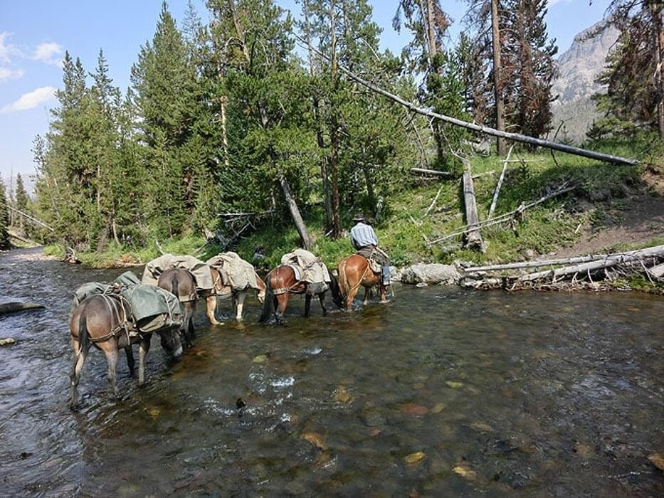 Images Wyoming Summer Pack Trips