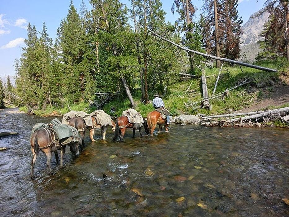 Images Wyoming Summer Pack Trips