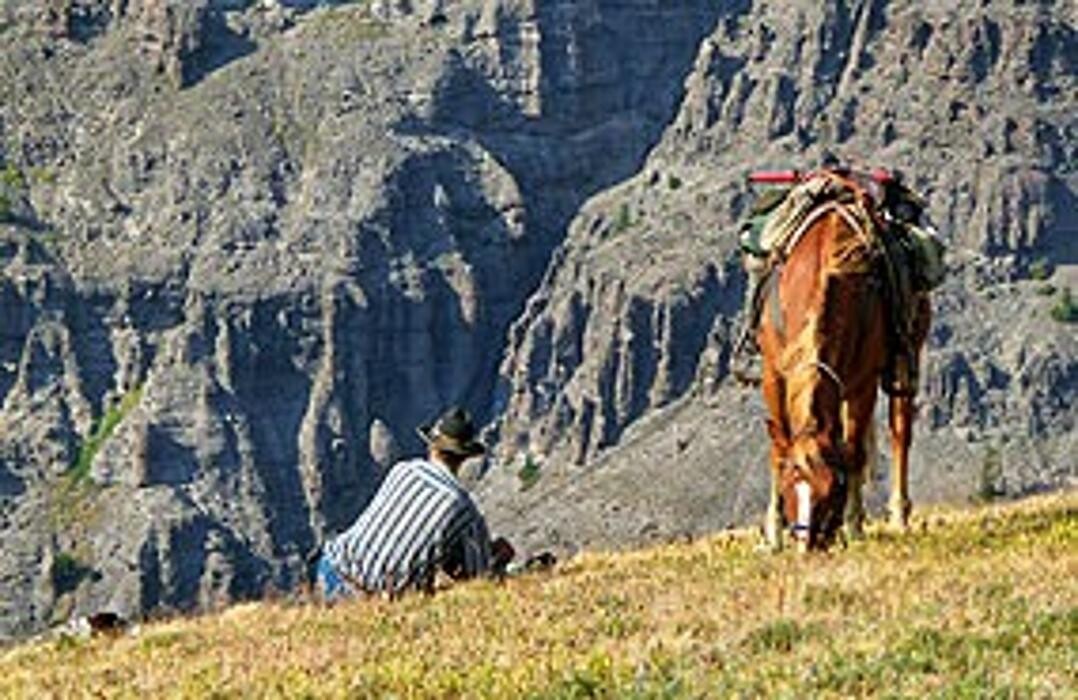 Images Wyoming Summer Pack Trips
