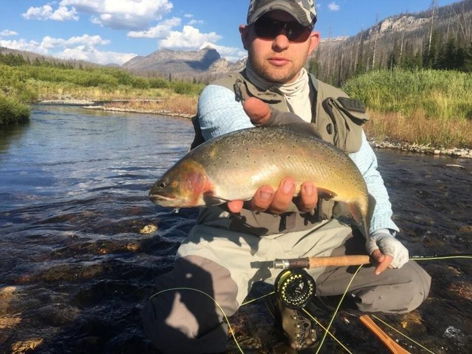 Images Wyoming Summer Pack Trips