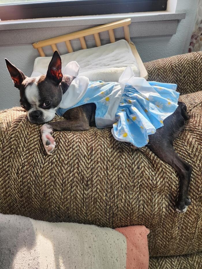 Images Thrive Counseling Services LLC